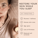 Night Cream with Hyaluronic Acid + Niacinamide