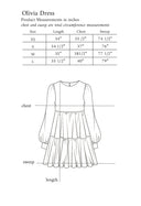 Olivia Mini Dress in Cheetah Queen