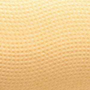 Panda Eco Paper | Bamboo Toilet Paper Sample
