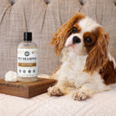 Pet Shampoo | Soothing & Deodorizing | Wild Heart