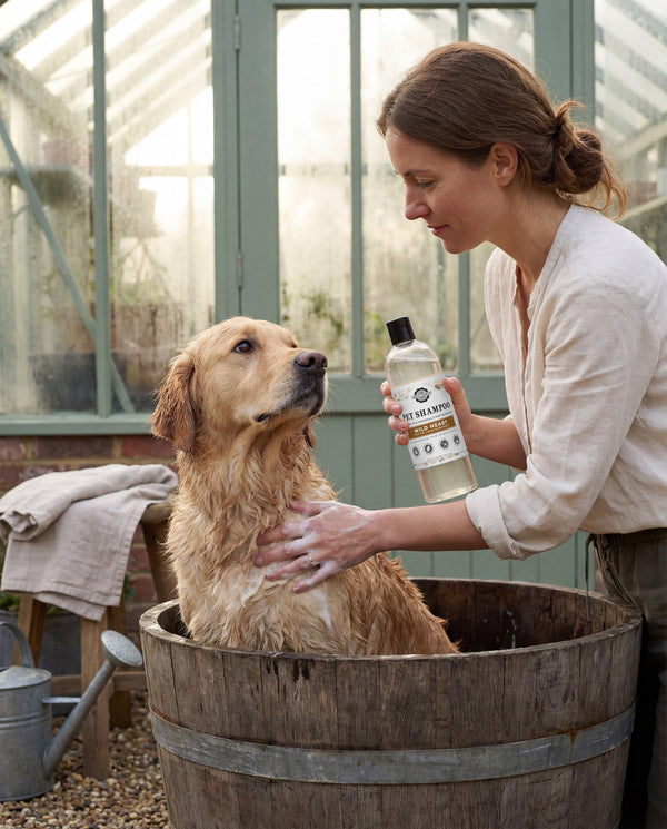 Pet Conditioner | Detangling & Softening | Wild Heart