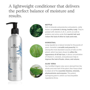 Sweet Sunrise Conditioner (240ml)