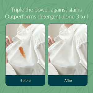 Puracy Stain Remover
