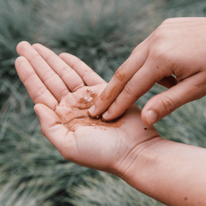 Purifying Mud Mask (50ml)