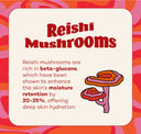 Fungdation - Reishi Mushroom Foundation