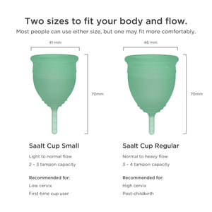 Saalt Cup