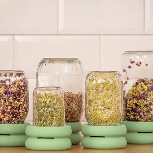 Food Huggers Micro Greens Kit