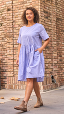 Hudson Dress Bluebird