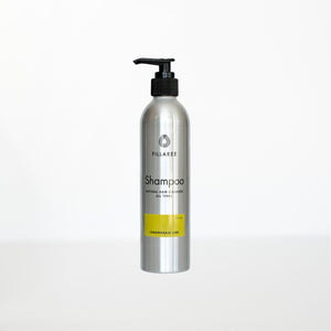 Shampoo - Natural Hair Cleanser