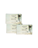 Sierra Forest Bar Soap 3-Pack