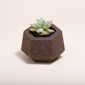 Upcycled Cork Vase