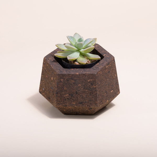 Upcycled Cork Vase