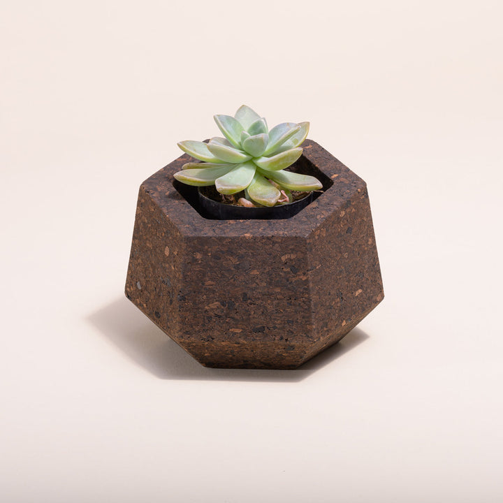 Upcycled Cork Vase