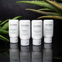 Botanical Sample Set | Viridian Grove