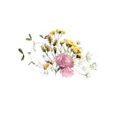 Wild Flowers Essential Oil & Phthalate-Free Fragrance Oil Blend