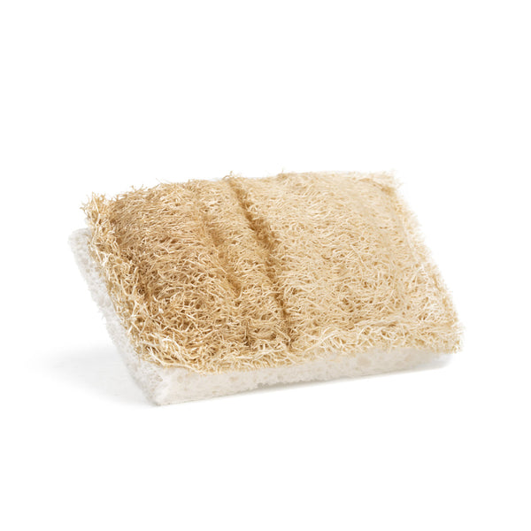 Cellulose Dish Sponge