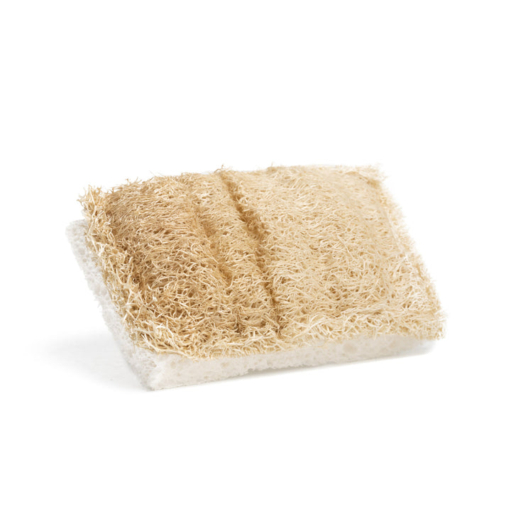Cellulose Dish Sponge