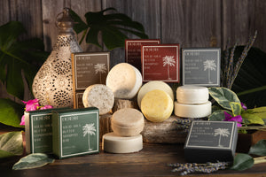 Solid XL Shea Shampoo Bar
