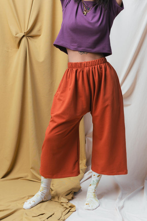 Zinat Pant in Persimmon