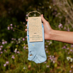 Socks that Protect Songbirds