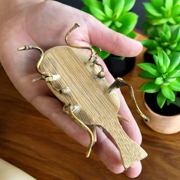 Kids Bamboo Toy | Unicorn Beetle