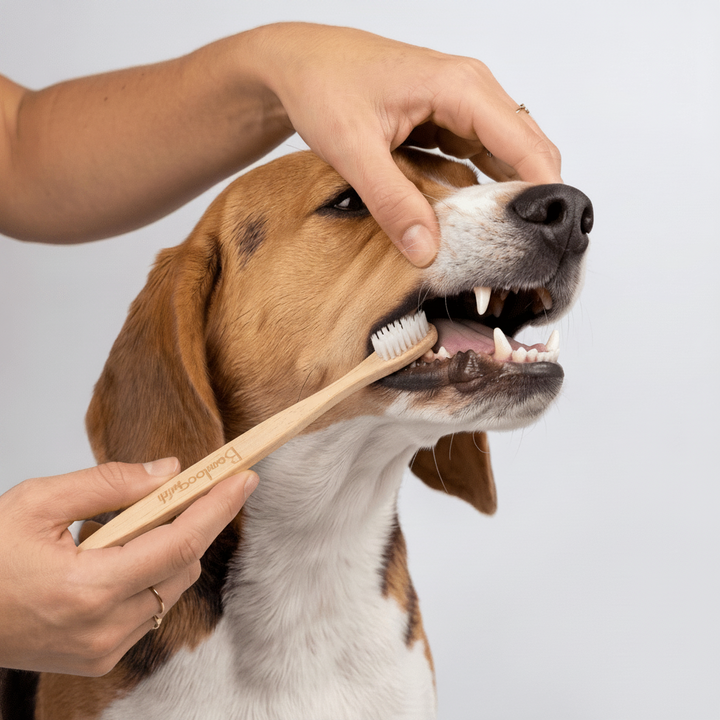 Bamboo Dog Toothbrush | Double-Sided