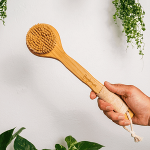 Bamboo Dry Brush | Sisal Bristles