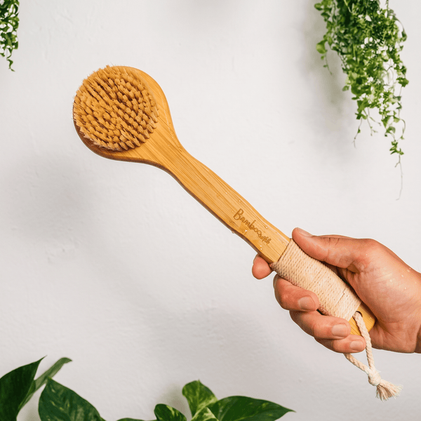 Bamboo Dry Brush | Sisal Bristles