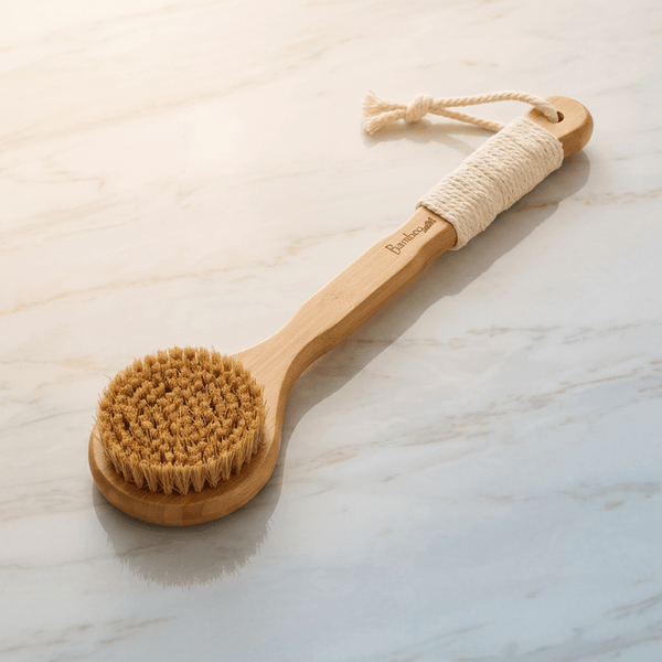 Bamboo Dry Brush | Sisal Bristles