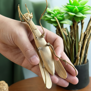 Bamboo Kids Toy | Praying Mantis
