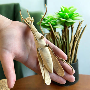 Bamboo Kids Toy | Praying Mantis