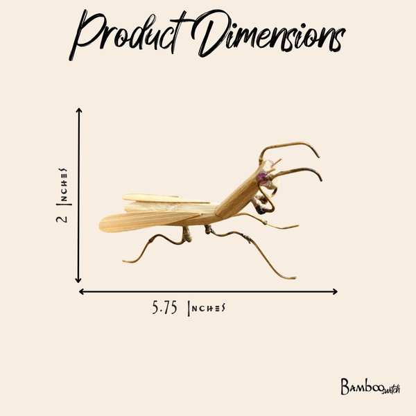 Bamboo Kids Toy | Praying Mantis