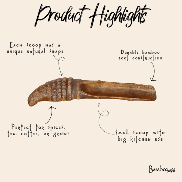 Bamboo Scoop | Cone Root Handle