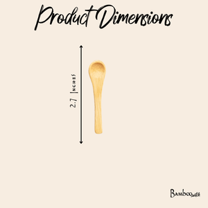 Bamboo Spice Spoon