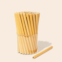 10 Organic Bamboo Straws & Coconut Fiber Straw Cleaner