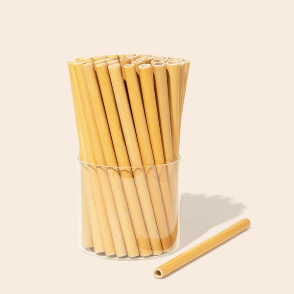10 Organic Bamboo Straws & Coconut Fiber Straw Cleaner