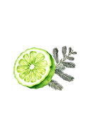 Lots of Purpose Spray Cleaner | Bergamot & Cypress