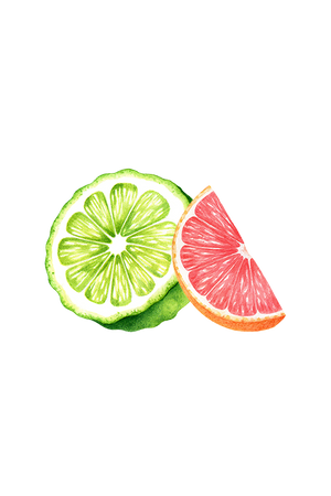 Bergamot & Grapefruit Essential Oil Blend