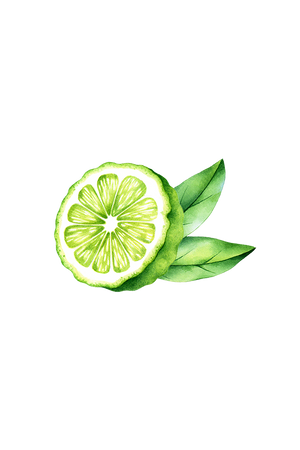 Bergamot Essential Oil