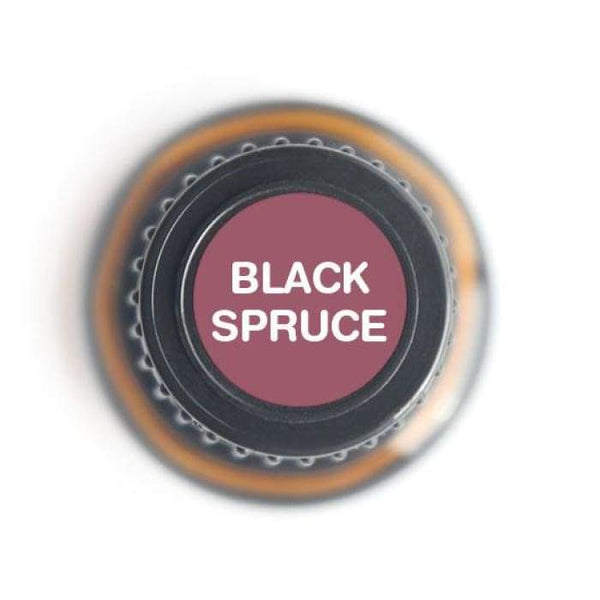 Black Spruce Pure Essential Oil - 15ml