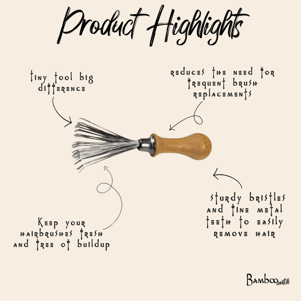 Brush Cleaning Tool