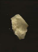 Cacao Rose – Lip, Brow & Cuticle Balm | Floral Infusion with Jasmine & Geranium