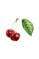 Cherry (Bitter Almond) Essential Oil