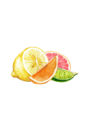 Lots of Purpose Spray Cleaner | Lemon, Lime, Orange & Grapefruit