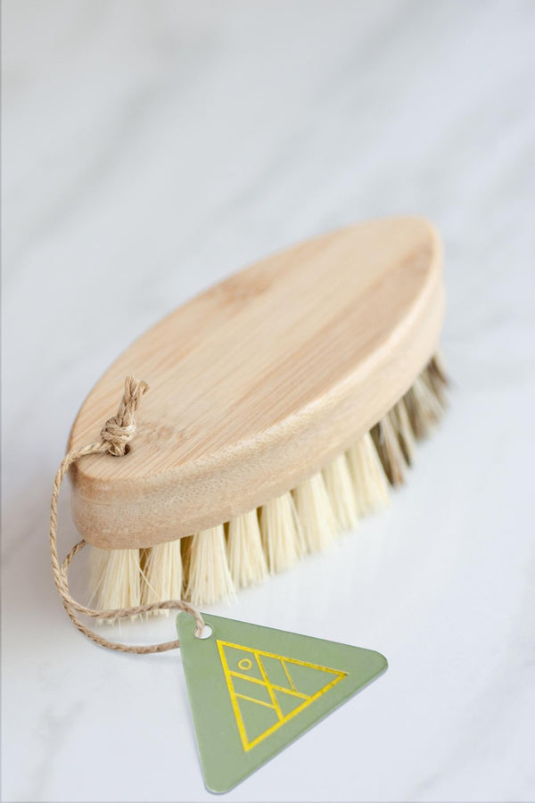 CASA AGAVE® Duo Tone Vegetable Brush | General Cleaning - No Tox Life®