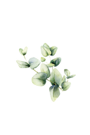 Room Spray | Eucalyptus