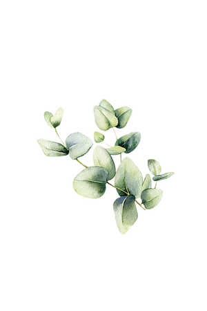 Room Spray | Eucalyptus