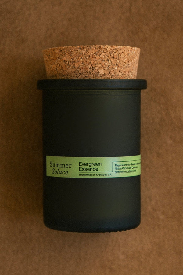 Evergreen Essence – Cedar & Oakmoss Candle | 6 oz Tallow & Beeswax