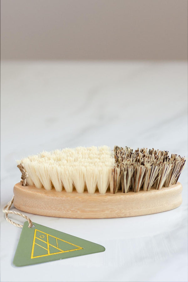 CASA AGAVE® Duo Tone Vegetable Brush | General Cleaning - No Tox Life®