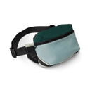 Fanny Pack: Coastal Redwoods